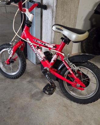 bottecchia bicicletta 
