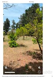 Terreno agricolo fronte ss 131