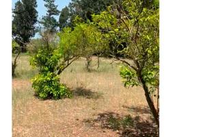 Terreno agricolo fronte ss 131