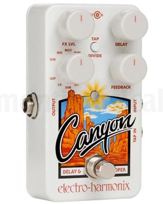 Effetto Pedale Delay LOOPEER HARMONIX Canyon