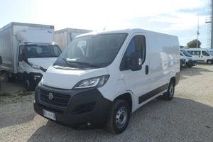 Fiat Ducato furgone tetto basso