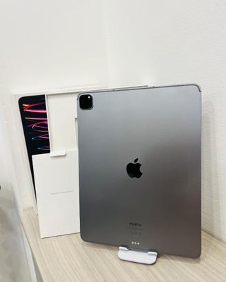 IPAD PRO 12.9 M2 SESTA GEN 512 GIGA CON GARANZIA