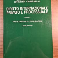 Diritto internazionale privato e processuale  vol1