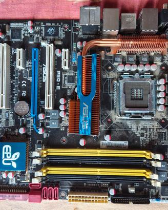 Scheda madre Asus pq5-E
