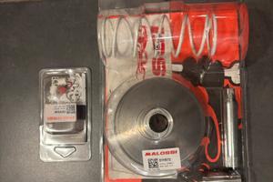 Variatore Honda Sh 125 Malossi