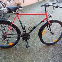 bicletta Bottecchia