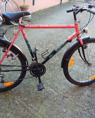 bicletta Bottecchia