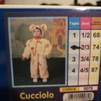 Costume da carnevale