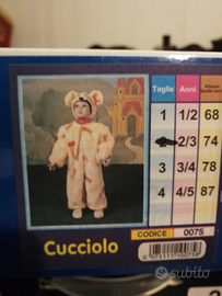 Costume da carnevale