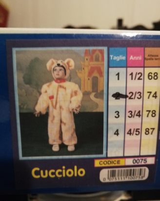Costume da carnevale