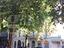 Immagine 29