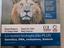 Immagine 6