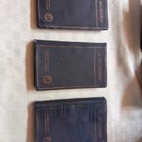 Lotto 3 Libri DANTE ALIGHIERI - Vallardi 1924 - Pa