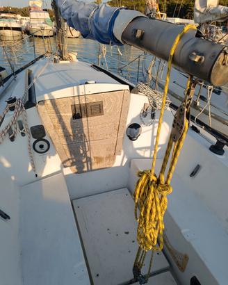 Barca a vela Comet 801