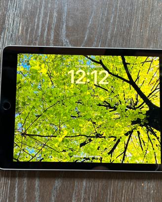 iPad sesta generazione 9.7 (32GB) Wi-Fi anno 2018