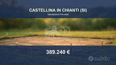 Immobile in asta di 30436 m² a Castellina in Chian