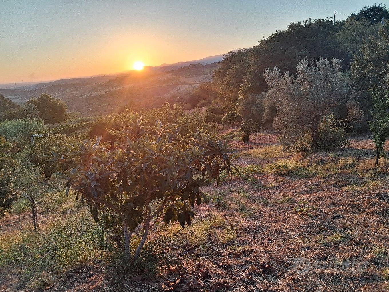 terreno agricolo - Vista 5