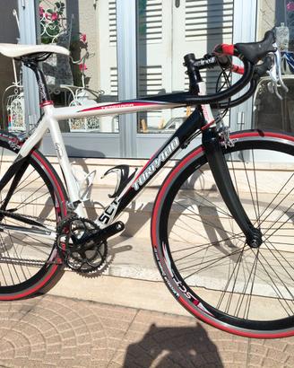 Bici Torpado Temeraria–Campagnolo Veloce 10V–