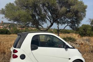 Smart 451 allestimento brabus