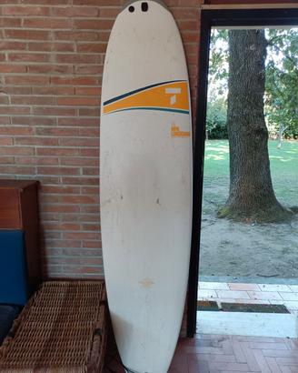 tavola da surf 