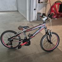 Bicicletta mountain bike