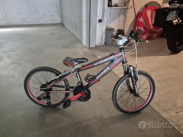 Bicicletta mountain bike