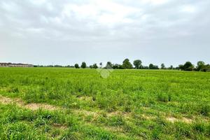 TER. RESIDENZIALE A MARMIROLO