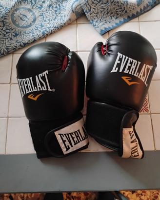 Guantoni da boxe Everlast  10 oz