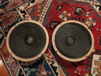 coppia woofer ciare 25 cm  			