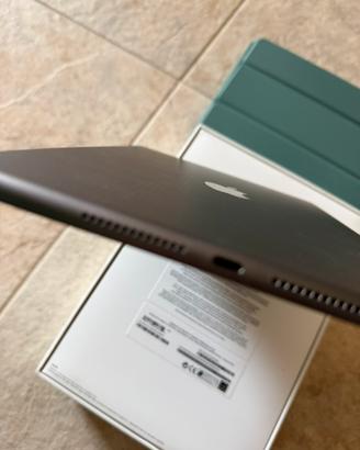 Ipad wifi cellular