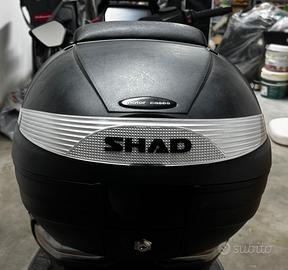 Shad sh 29 bauletto