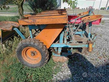 Trapiantatrice per aglio