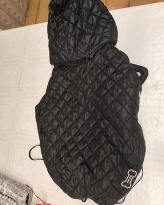 3 Cappottini per cani di taglia piccola