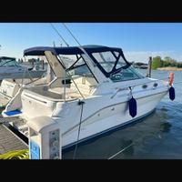 Sea ray 290 sundancer