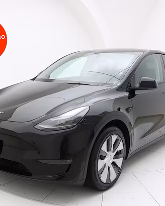 Tesla Model Y Long Range Dual Motor AWD