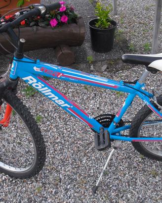 MTB Rollmar