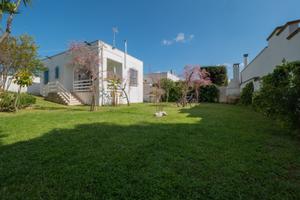 Last Minute Sant'Isidoro (LE)