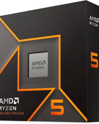 Processore AMD Ryzen 5 9600X.