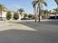 Immagine 26