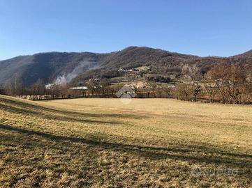 TER. AGRICOLO A ISOLA VICENTINA