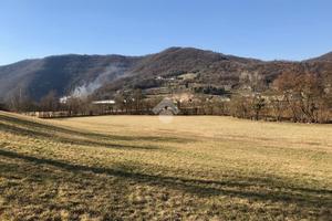 TER. AGRICOLO A ISOLA VICENTINA