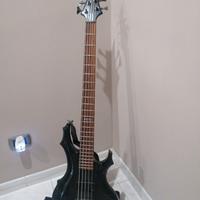 Basso Ltd 5 corde F-405Fm