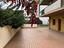 Immagine 9
