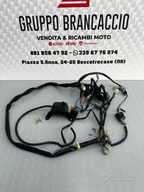 Impianto cablaggio elettrico Aprilia scarabeo 50 2