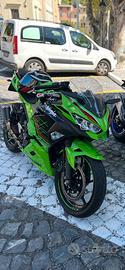 Kawasaki Ninja 400 KRT