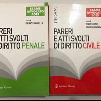 Pareri e atti di civile e penale