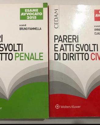 Pareri e atti di civile e penale