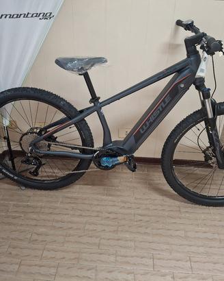 e bike  Whistle  B-race  