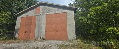 capannone commerciale con terreno