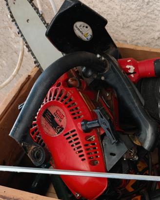 Valex Motosega da Potatura